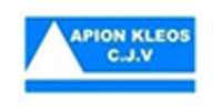 JOINT VENTURE APION KLEOS